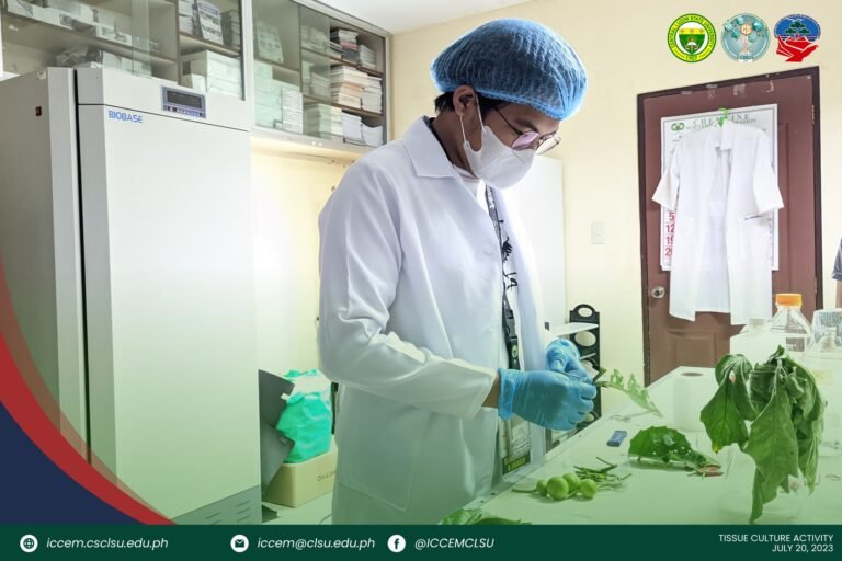 Hands-On Conservation: ICCEM Conducts Tissue Culture Activity with Native Tree and Crops